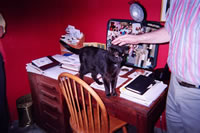Stout Office