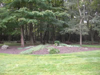 Part of the lawn