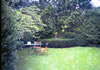 The Glade