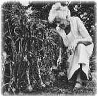 Ruth Stout Gardening
