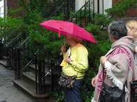 CIMG0843_fs